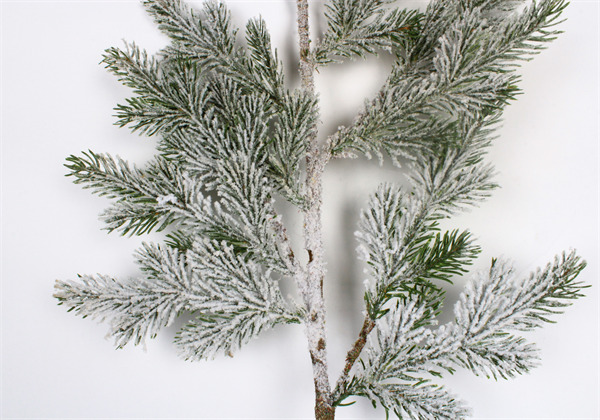 Takken voor Decoratie Naturel