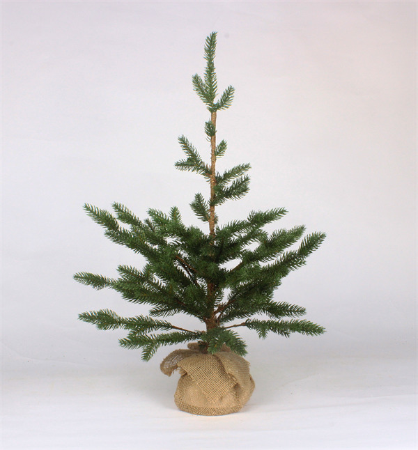 Cederbomen voor kerstgroene afwerking