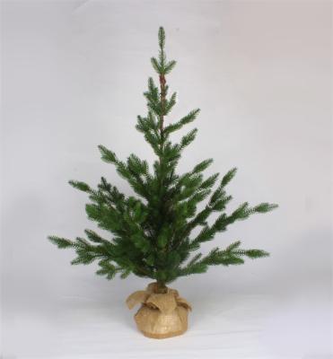 Cederbomen voor Kerstmis en Base New Mini