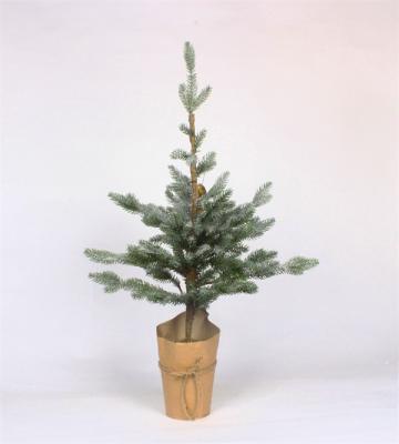 Kerstcederbomen voor thuisfeest