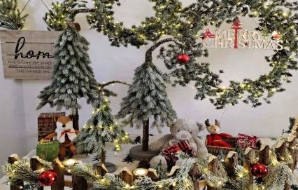 Nieuwe kerstboom