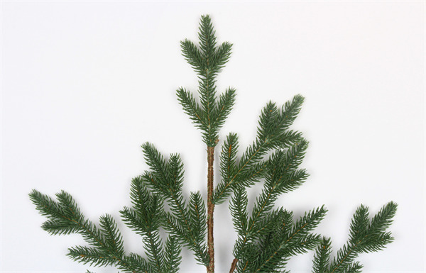 Artificial Branches for Home Decoration Indoor.jpg