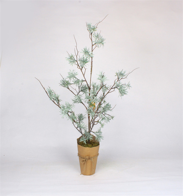 Christmas Cedar Trees in Paper Pot.jpg